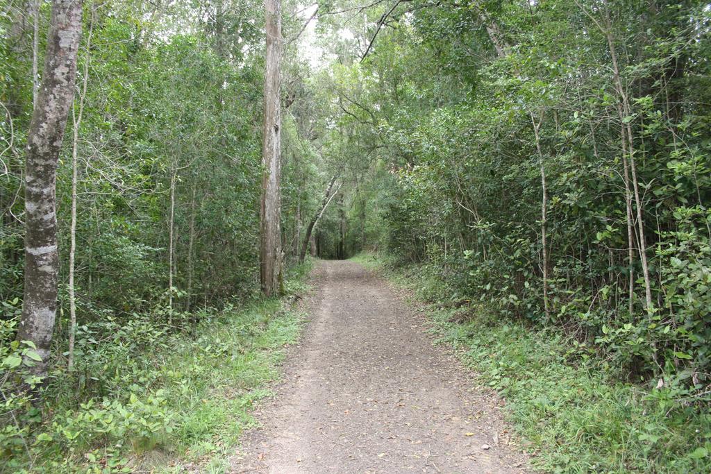 Fijnbosch Cottage And Camping Stormsrivier Phòng bức ảnh